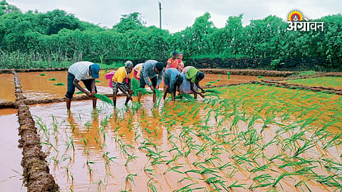 Revised Kharif crop insurance scheme 2026