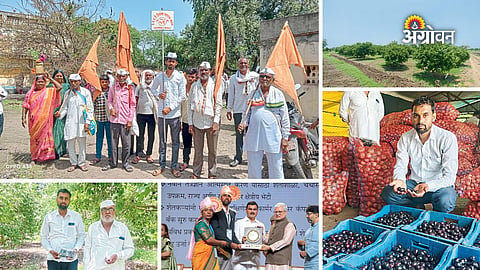 Modern farming with traditional values