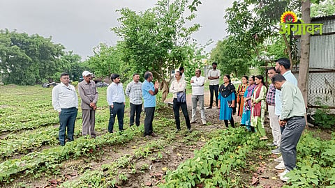 Natural Farming Training
