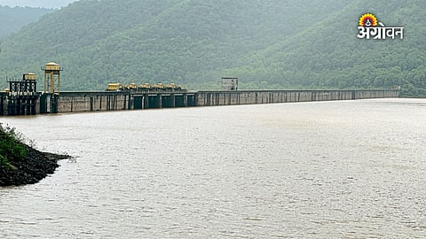 Dam water level today