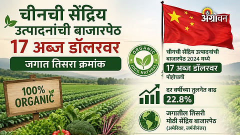 China becomes third largest organic market