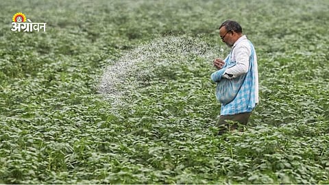 Fertilizer Import