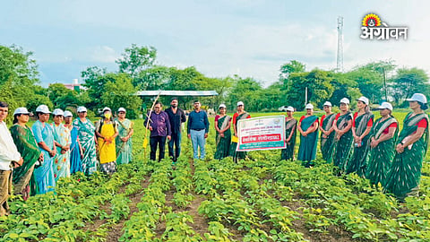 Women natural farming school Maharashtra