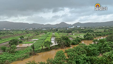 Maharashtra dam inflow report