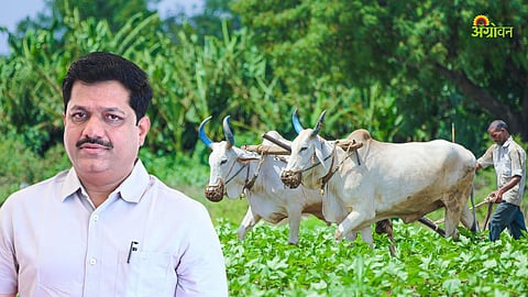 Farm Loan Waiver