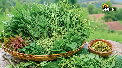 Health benefits of wild leafy greens