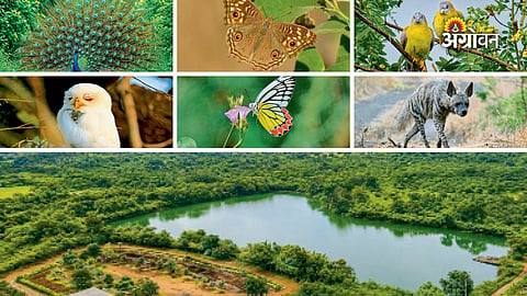 Nature and biodiversity conservation park