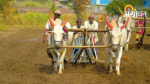 Kharif Sowing Delayed Due to Irregular Rain