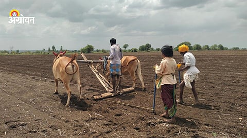 Kharif Sowing 2026