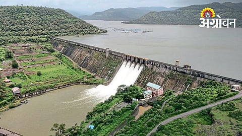 Strong Monsoon Fills Dams Across Maharashtra