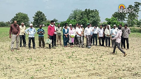 Farmers complain about Mahabeej seeds