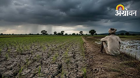 Changing Weather Impacts Farming and Food Security