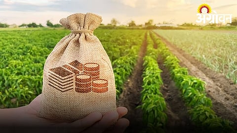 Cooperation Commissioner Shares Loan Waiver Update