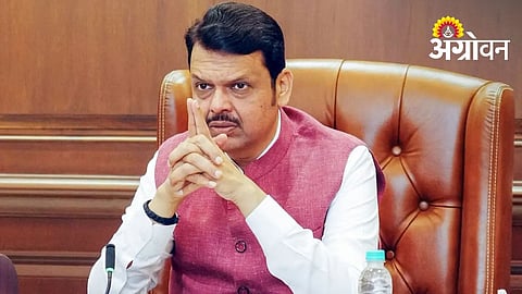 CM Warns Fake Seed Companies of Tough Action