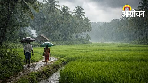 Orange and Yellow Rain Alerts Issued in Maharashtra