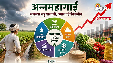 Food inflation in India due to climate change