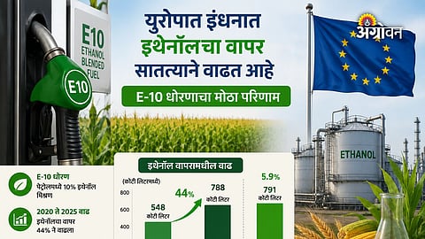 Europe to increase grain use for ethanol production