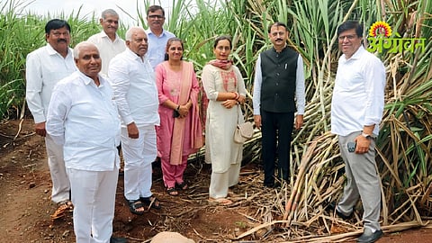 Datt Sugar Factory Initiatives