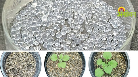 Microbeads Technology