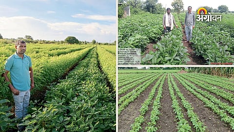 Amravati soybean farming success story