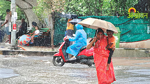 Dhule Rain Update