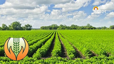 Crop Insurance Scheme