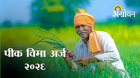 Farmers Submit 5.20 Lakh PM Crop Insurance Applications
