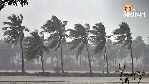 Red Alert Issued for Heavy Rain in Maharashtra