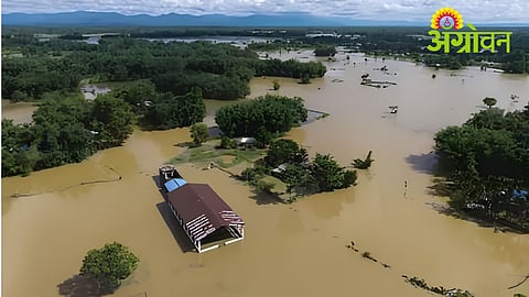 Heavy Rain Update