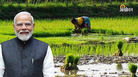 PM Kisan Yojana