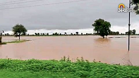 Vidarbha weather and flood alert