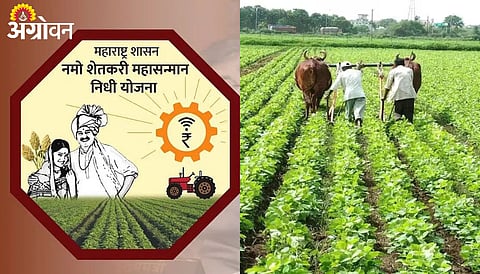 Namo Shetkari Installment