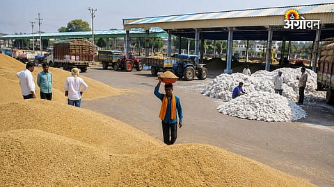 Agriculture procurement irregularities in Maharashtra