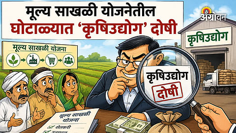 Agriculture department inquiry into scheme scam