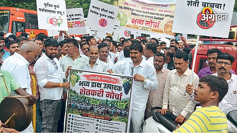 Demand to increase grape import duty in India