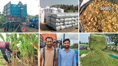 Farmer success story from Sangli