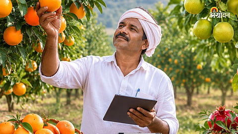 Fruit Crop Insurance GR