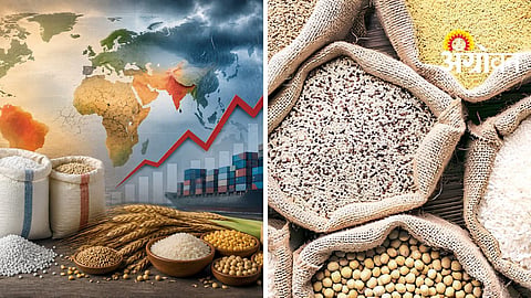 El Nino Impact