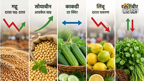Daily agricultural commodity prices