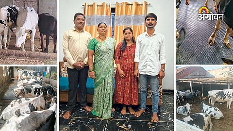 Dairy entrepreneur success in Kolhapur