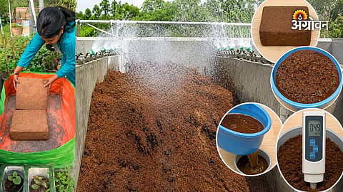Cocopeat nursery management techniques