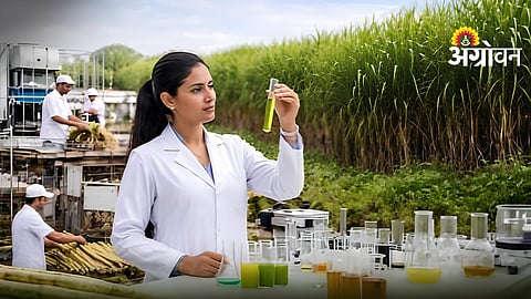 Sugarcane Recovery Lab