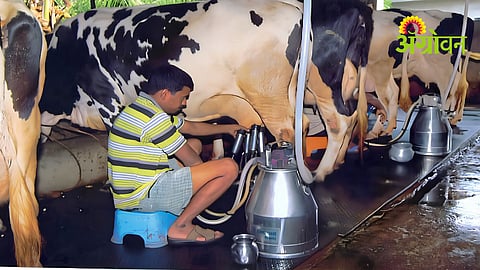 Quality Milk Production