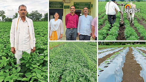 Dryland farming productivity improvement