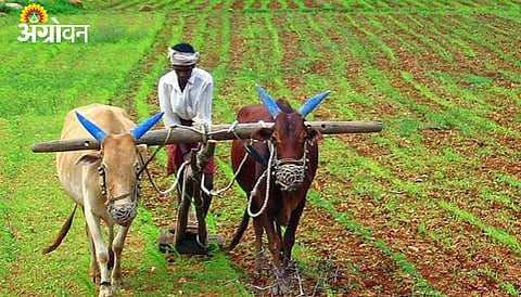 Kharif Sowing 2026 