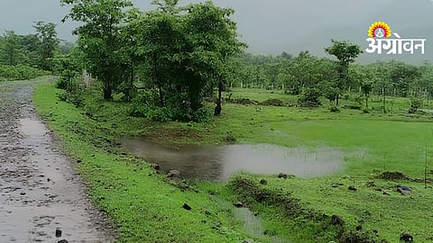 Khandesh Rain Update