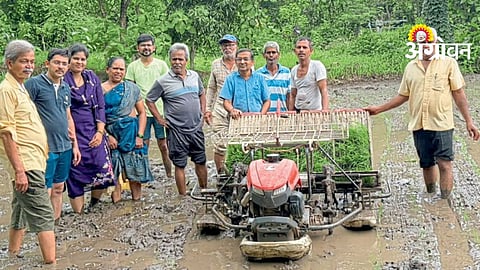Mechanized Paddy Transplantation