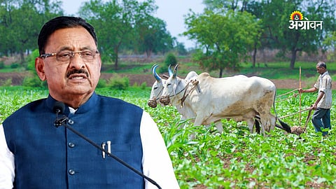 Farm Loan Waiver