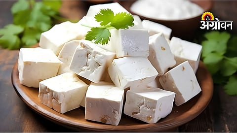 Analog Paneer Ban