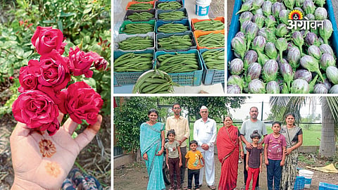 Smart farming success story of Vikram Gaikwad